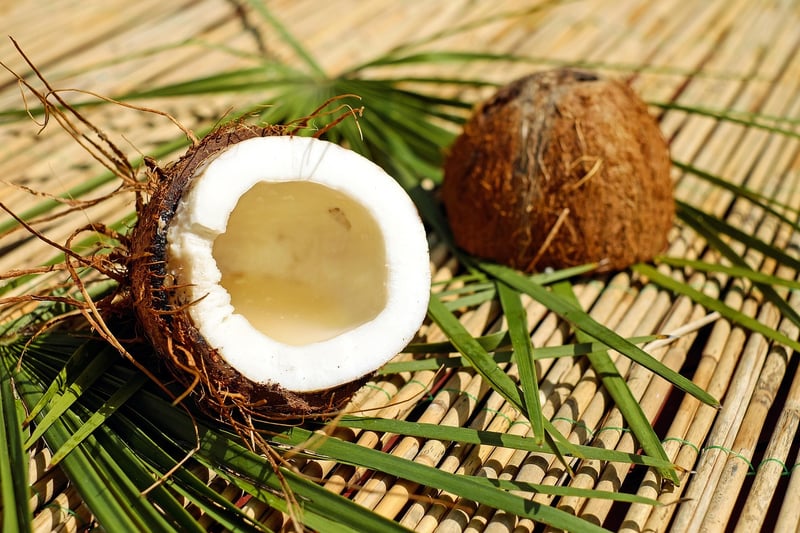 Exotic Cuisine