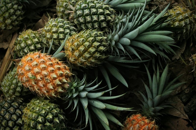 Pineapple Coconut Cooler